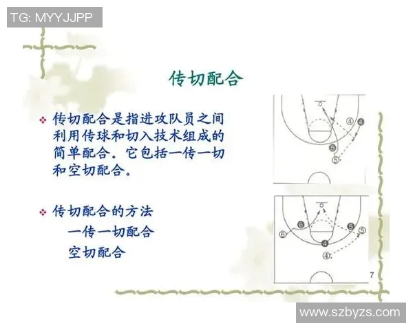 实时新闻深圳篮球队默契配合的关键因素与战术分析探讨